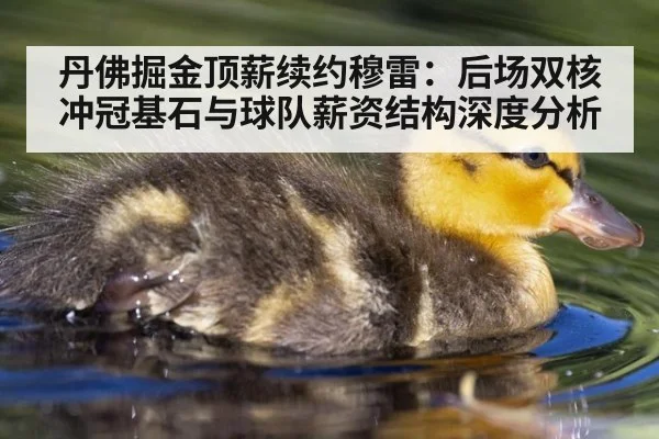 丹佛掘金顶薪续约穆雷：后场双核冲冠基石与球队薪资结构深度分析