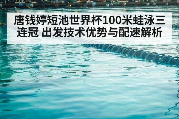 swimming competition pool lanes